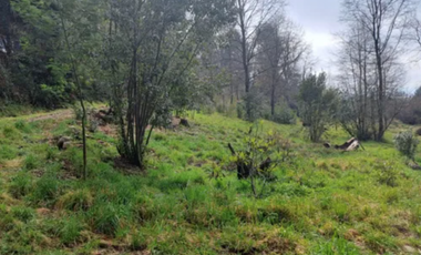E9417732- Venta Parcela Curarrehue/ Las Peinetas-158,5H
