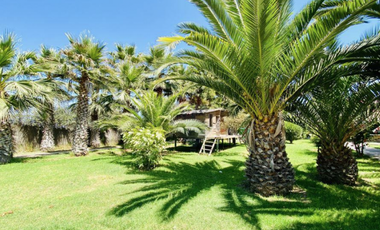 D9424405- Venta Casa S.Pan de Azúcar, Coquimbo-7D4B10E