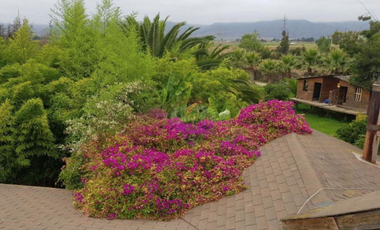 D9424405- Venta Casa S.Pan de Azúcar, Coquimbo-7D4B10E