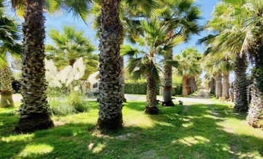 D9424405- Venta Casa S.Pan de Azúcar, Coquimbo-7D4B10E