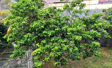 Tanah 555 m Ngantong Depan Taman di Jl Neptunus Villa Cinere Mas