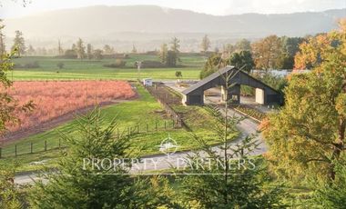 Arriendo (diario) ENERO 2026 en Futrono