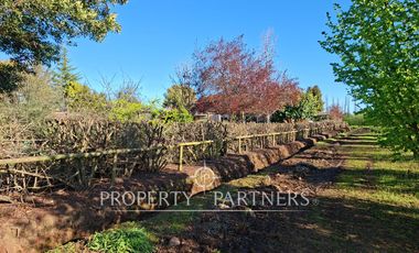 Gran casa patronal y campo de avellanos