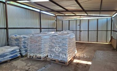 Gran casa patronal y campo de avellanos