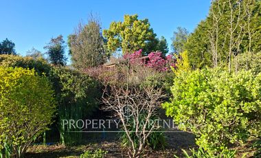 Gran casa patronal y campo de avellanos