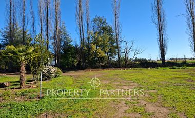Gran casa patronal y campo de avellanos
