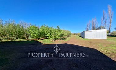 Gran casa patronal y campo de avellanos