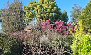 Gran casa patronal y campo de avellanos