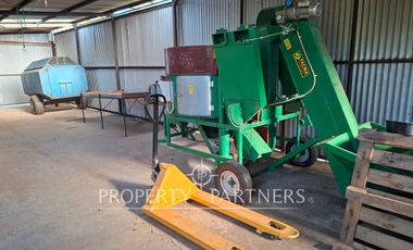 Gran casa patronal y campo de avellanos