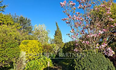 Gran casa patronal y campo de avellanos