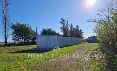 Gran casa patronal y campo de avellanos