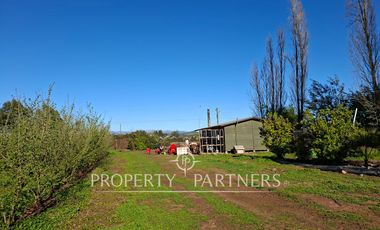 Gran casa patronal y campo de avellanos