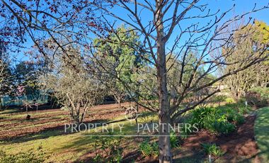 Gran casa patronal y campo de avellanos