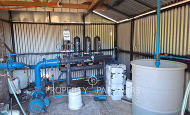 Gran casa patronal y campo de avellanos