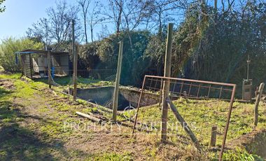 Gran casa patronal y campo de avellanos