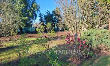 Gran casa patronal y campo de avellanos