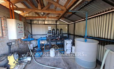 Gran casa patronal y campo de avellanos