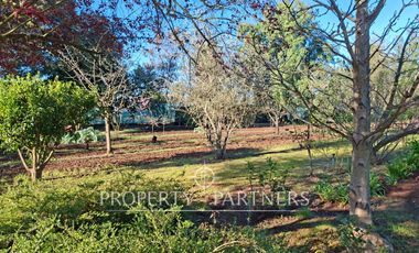 Gran casa patronal y campo de avellanos