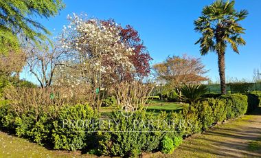 Gran casa patronal y campo de avellanos