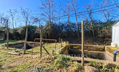 Gran casa patronal y campo de avellanos