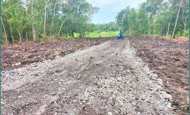 194 Juta Tanah Murah Jogja, Sentolo Kawasan Industri Kulonprogo
