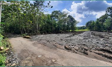 194 Juta Tanah Murah Jogja, Sentolo Kawasan Industri Kulonprogo