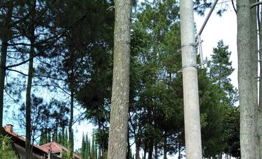 Tanah Luas Dago Giri Bandung