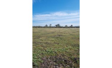 Se vende terreno de 5000 m2. Ñiquen