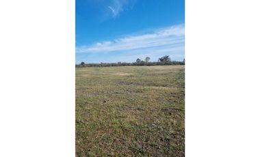 Se vende terreno de 5000 m2. Ñiquen