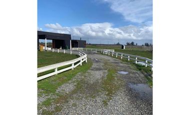 SE VENDE TERRENO 1HA SAN NICOLAS, ÑUBLE