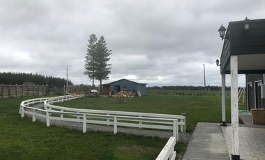 SE VENDE TERRENO 1HA SAN NICOLAS, ÑUBLE