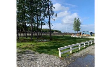 SE VENDE TERRENO 1HA SAN NICOLAS, ÑUBLE