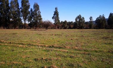 Se vende parcela Rincon del Sauce Pumanque 5000 m2