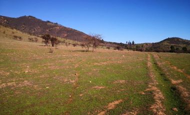 Se vende parcela Rincon del Sauce Pumanque 5000 m2