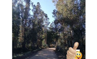 Se vende parcela Rincon del Sauce Pumanque 5000 m2