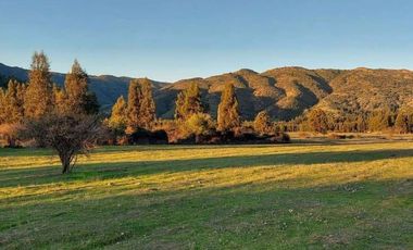 Se vende parcela Rincon del Sauce Pumanque 5000 m2