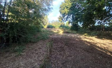 Se vende parcela 8000 m2, el carmen