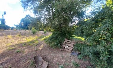 Se vende parcela 8000 m2, el carmen