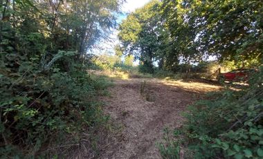 Se vende parcela 8000 m2, el carmen