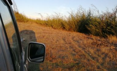 Se vende sitios en Parral