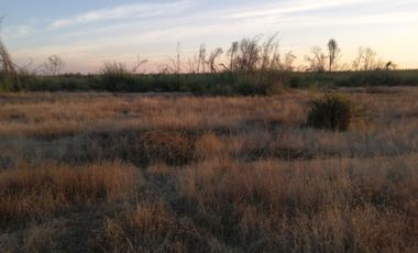 Se vende sitios en Parral