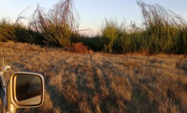 Se vende sitios en Parral