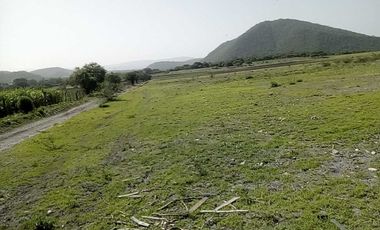 TERRENO EN VENTA - RUSTICO ZONA CARRETERA FEDERAL A MATAMOROS