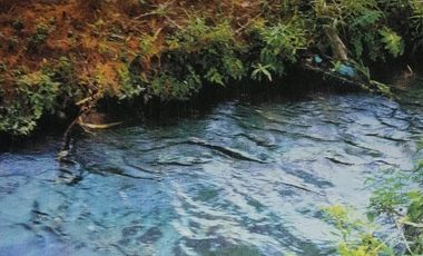 TERRENO EN VENTA - RUSTICO ZONA CARRETERA FEDERAL A MATAMOROS