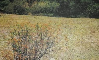 TERRENO EN VENTA - RUSTICO ZONA CARRETERA FEDERAL A MATAMOROS