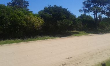 EXCELENTES LOTES M/H DE 3.145 - Las Gaviotas |Cod. 0344