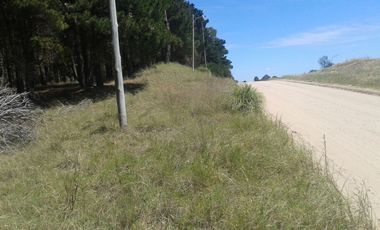 EXCELENTES LOTES M/H DE 3.145 - Las Gaviotas |Cod. 0344