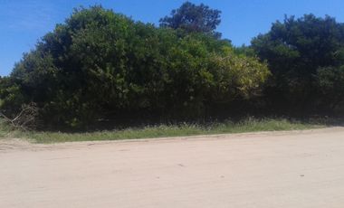 EXCELENTES LOTES M/H DE 3.145 - Las Gaviotas |Cod. 0344