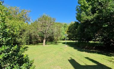 312 e/ 50 y 52 - CASA QUINTA CON PILETA (Barrio el Rodeo)