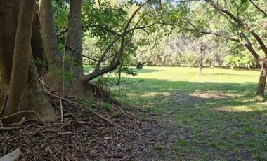 312 e/ 50 y 52 - CASA QUINTA CON PILETA (Barrio el Rodeo)